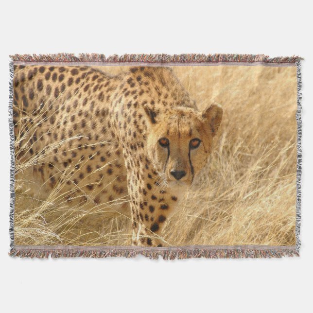 Throw Blanket/Cheetah Mysfilt (Framsidan)
