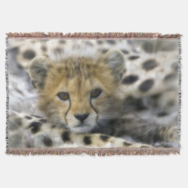 Throw Blanket/Cheetah Unge Filt (Framsidan)