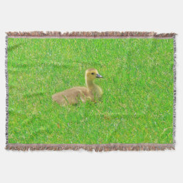 Throw Blanket Filt