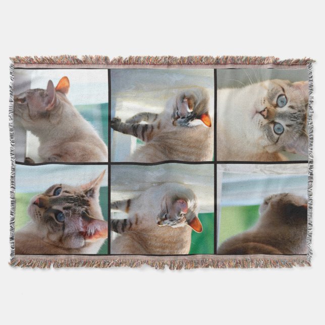 Throw Blanket/Silver Tabby Siamese Filt (Framsidan)