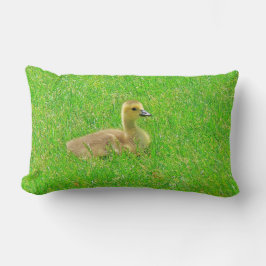 Throw Pillow   Canada Goose Lumbarkudde