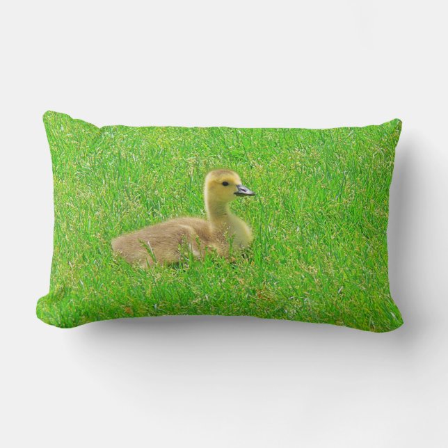 Throw Pillow   Canada Goose Lumbarkudde (Framsida)