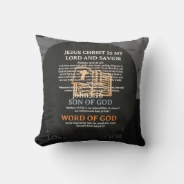Throw Pillow Kudde