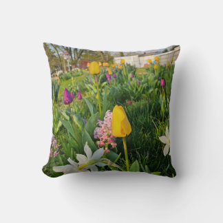 Throw Pillow Kudde