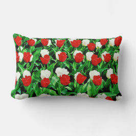 Throw Pillow Lumbarkudde