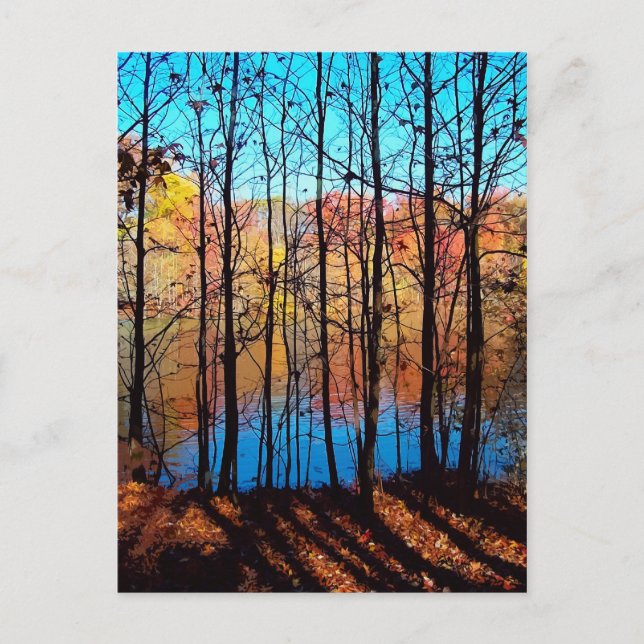 Thru Träd Vykort (Framsida)