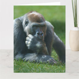 Thumb Sucking Gorilla Tack Kort