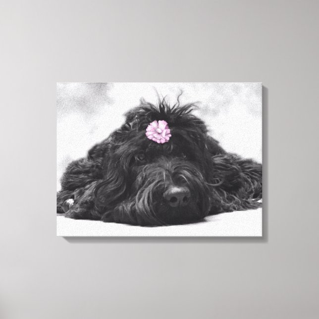 Thumper Porträtt Canvastryck (Framsida)