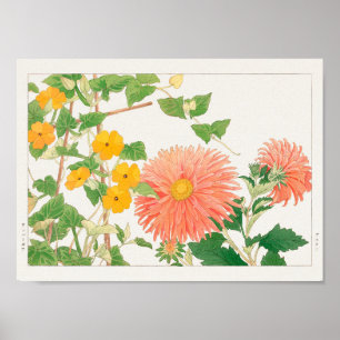 Thunbergia, China aster utförd av Tanigami Konan Poster
