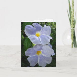 Thunbergia Fairy Måne fotopappkort Anteckningskort