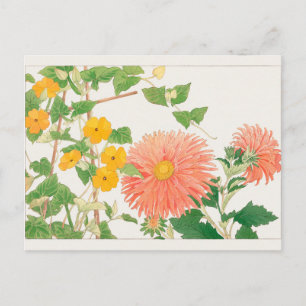 Thunbergia, Kina-aster av Tanigami Konan Vykort