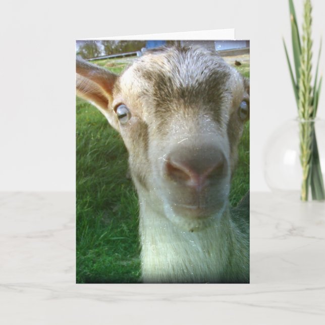 Thunder Kort (Framsida)