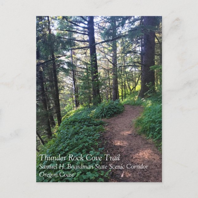 Thunder Sten Cove Trail, Samuel H Boardman, Oregon Vykort (Framsida)