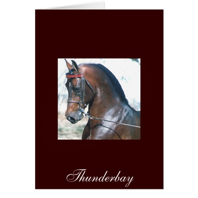 Thunderbay Hälsningskort (Framsidan)