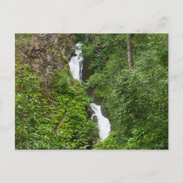 Thunderbird Falls Painterly Vykort (Framsida)