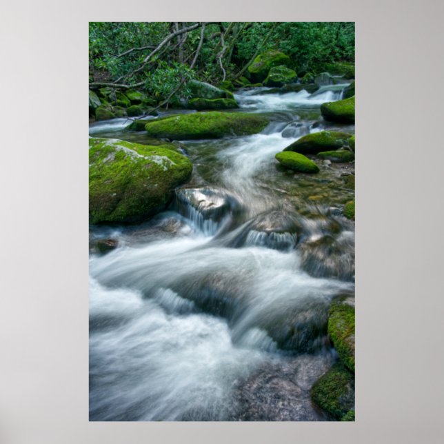 Thunderhead Prong 16 Poster (Framsidan)