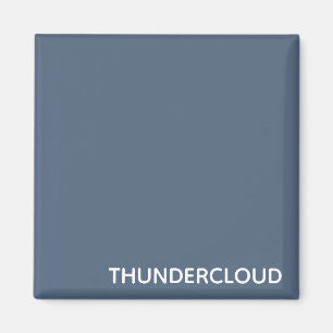 ThunderMoln Blue-grått Färg Namn Magnet