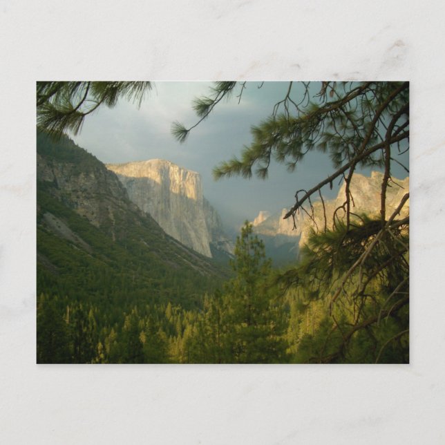 Thunderstorm över Yosemite Valley Vykort (Framsida)