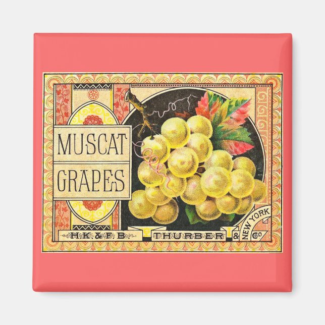 Thurber Muscat Graps - Vintage Låda-etikett Magnet (Framsidan)