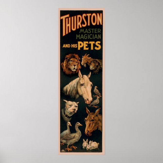 Thurston Master Magician och hans sällskapsdjur Poster (Framsidan)