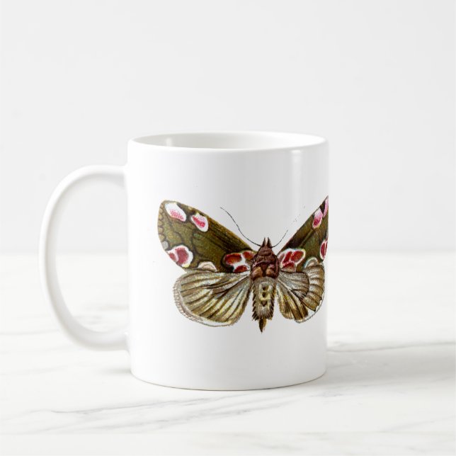Thyatira batis - Peach Blommar Moth Kaffemugg (Vänster)