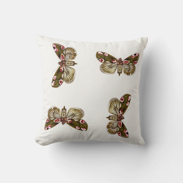 Thyatira batis - Peach Blommar Moth Kudde (Framsida)