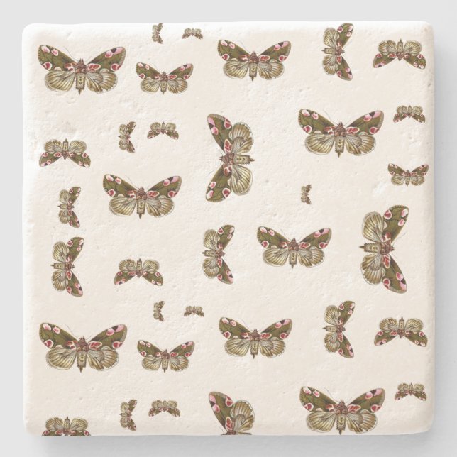 Thyatira batis - Peach Blommar Moth Stenunderlägg (Framsidan)