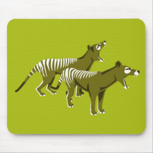 Thylacine Musmatta