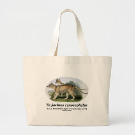 Thylacinuscynocephalus (den Tasmanian tigern eller Jumbo Tygkasse