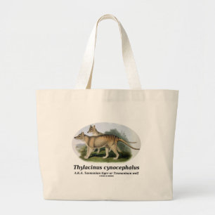 Thylacinuscynocephalus (den Tasmanian tigern eller Jumbo Tygkasse