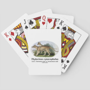 Thylacinuscynocephalus (den Tasmanian tigern eller Kortlek