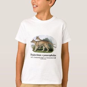 Thylacinuscynocephalus (den Tasmanian tigern eller Tee