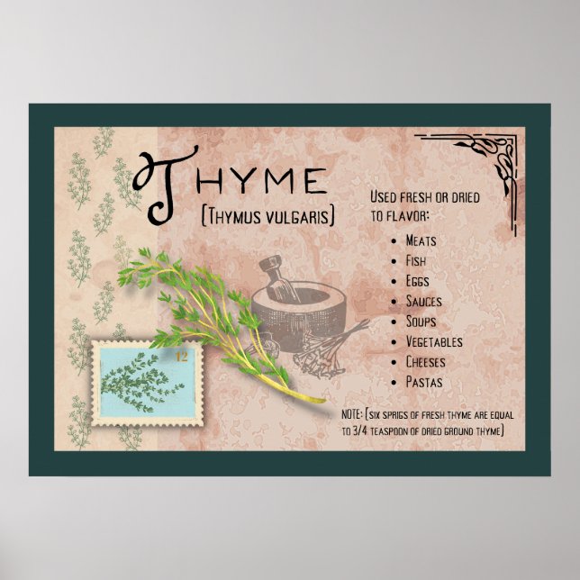 Thyme Herb Botanical Info Poster (Framsidan)