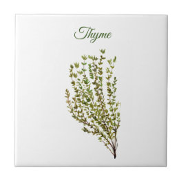 Thyme Herb Greenery Kitchen Culinary Grönt Plant C Kakelplatta