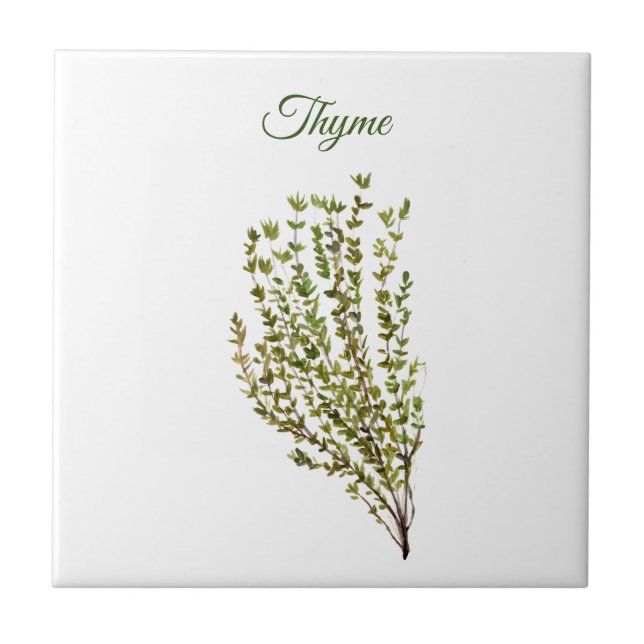 Thyme Herb Greenery Kitchen Culinary Grönt Plant C Kakelplatta (Framsidan)