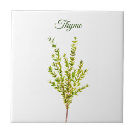 Thyme Herb Greenery Kitchen Culinary Grönt Plant Kakelplatta