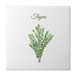 Thyme Herb Greenery Kitchen Culinary Grönt Plant Kakelplatta