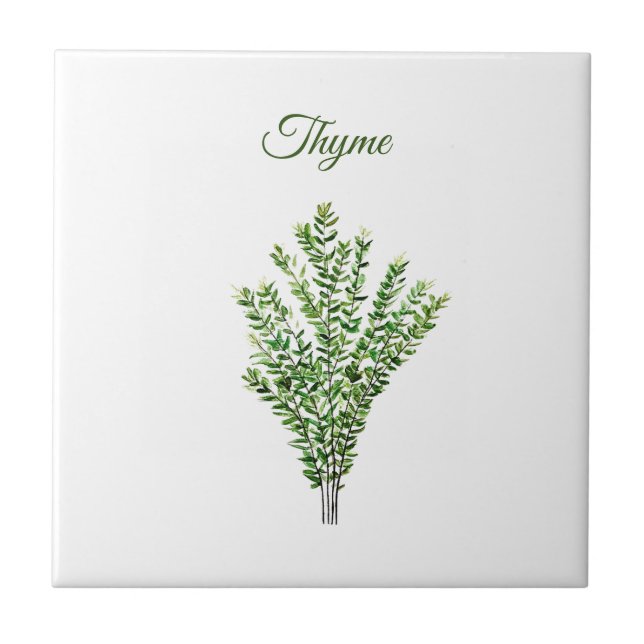 Thyme Herb Greenery Kitchen Culinary Grönt Plant Kakelplatta (Framsidan)