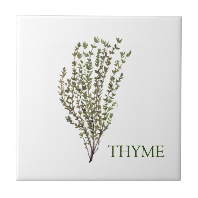 Thyme Herb Greenery Kitchen Culinary Grönt Plant Kakelplatta (Framsidan)