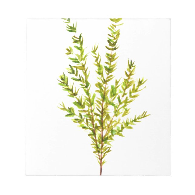 Thyme örter Botaniska örter Anteckningsblock (Framsida)