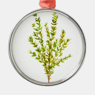 Thyme örter Botaniska örter Julgransprydnad Metall