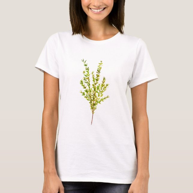 Thyme-örter grönt för botaniska örtvattenfärger tee (Framsida)