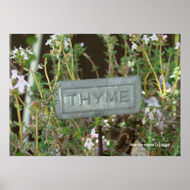 Thyme Poster (Framsidan)
