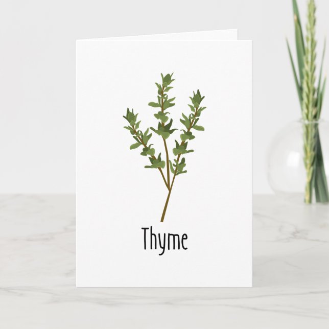 Thyme Spices Herb Kort (Framsida)