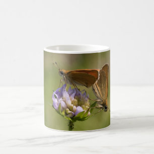 Thymelicus lineola kaffemugg