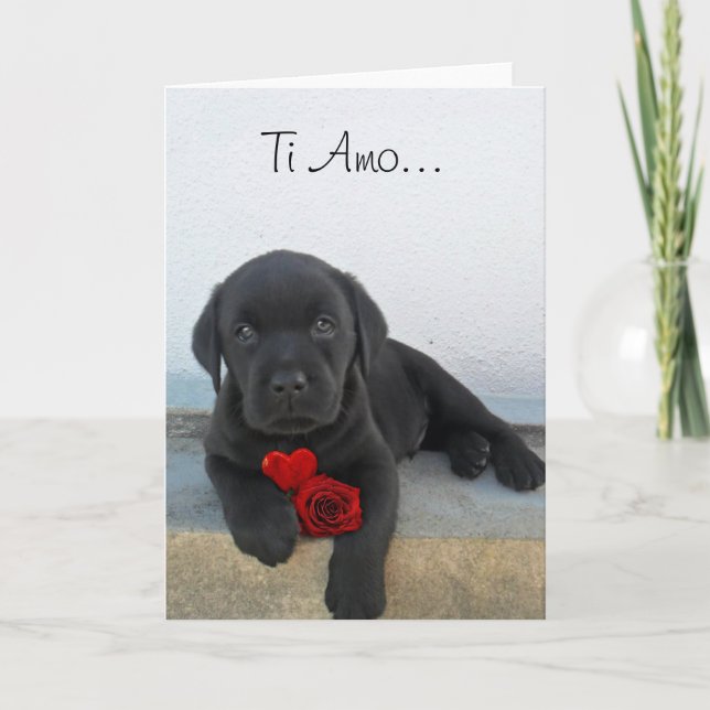 Ti Amo Labrador-gratulationskort för valpar Helgkort (Framsida)