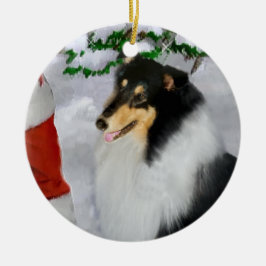 Ti Färg Rough Collie julklappar Ornament