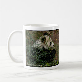 Tian Tian och Zoo för Mei Xiang jätte- Kaffemugg