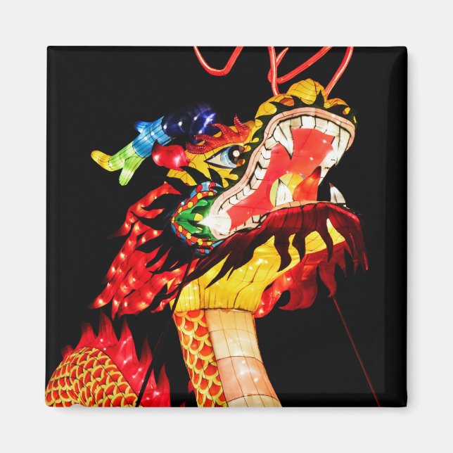 Tianlong Drak Magnet (Framsidan)