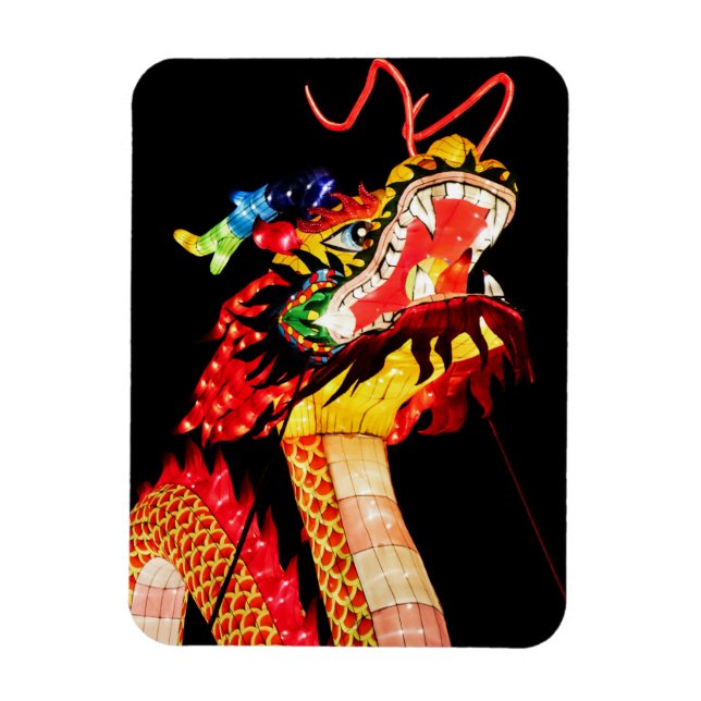Tianlong Drakon Magnet (Vertikal)